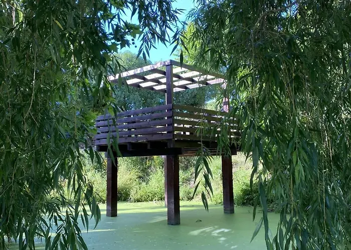 Da Silva Surf Five *